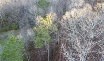 6777 Hwy 207, Anderson, AL 35610