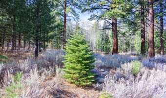 240 Forest Hill Way, Gardnerville, NV 89460