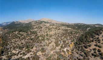 NHN Trails End Drive, Anaconda, MT 59711