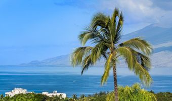 3878 Wailea Ekolu Pl, Kihei, HI 96753