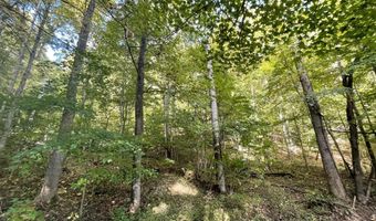 462 Lake View Dr, Barbourville, KY 40906