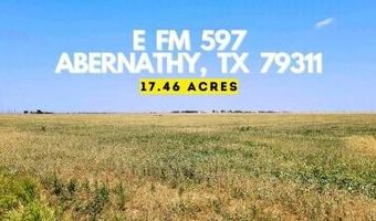 0 FM 597, Abernathy, TX 79311