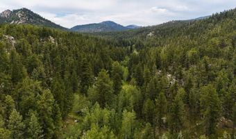 TBD County Road 59, Allenspark, CO 80510