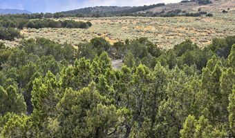 816 Hamilton Stage Rd, Elko, NV 89801