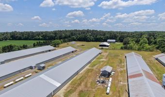 33950 EVANS Rd, Laurel, DE 19956