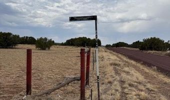 82 County Road 8010, Concho, AZ 85924