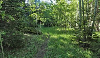 TBD County Road 59, Allenspark, CO 80510
