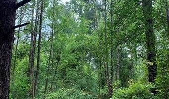 E HWY 16 Highway, Amite, LA 70422