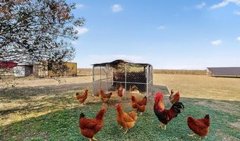 5925 Fm 2415, Alvarado, TX 76009