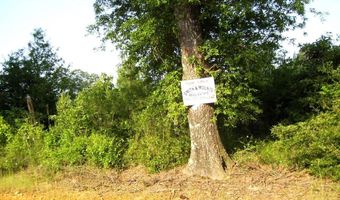 263 LR 182, Ashdown, AR 71822