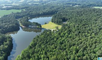 411 DR JENKINS Ln, Altoona, AL 35952