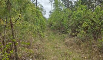 11631 Red Hill Rd Ext, Bay Minette, AL 36507