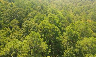 169 Brooke Ln, Bee Branch, AR 72013