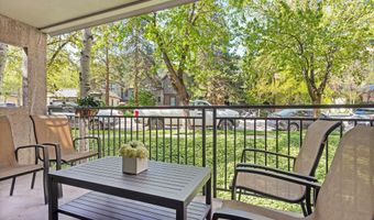 800 E Hopkins Ave A-3, Aspen, CO 81611