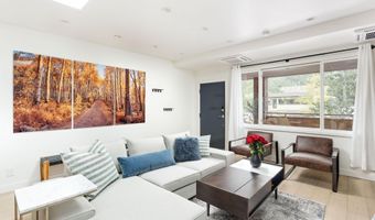 450 S Original St 8, Aspen, CO 81611