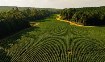 1037 Cr 300, Big Creek, MS 38914