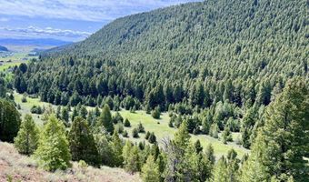 Nhn Lost Creek Rd, Anaconda, MT 59711