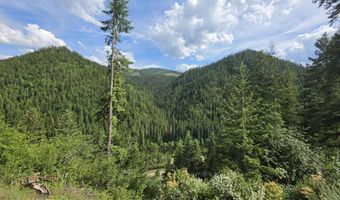 480 Dunn Peak Rd, Avery, ID 83802
