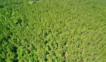 0 Pebble Cove Rd, Abbeville, AL 36310