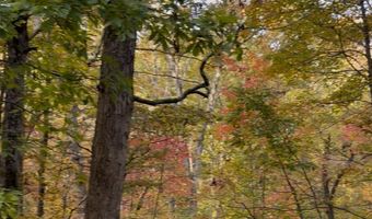 33 Eagle Rdg, Ball Ground, GA 30107