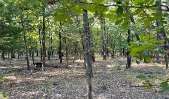 Lot 77 Eufaula Lake Drive, McAlester, OK 74501