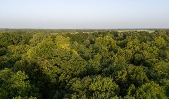 Tract 10 Highway 70, Bennington, OK 74723