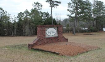 Lot 73 & 74 Wolf Creek Dr, Americus, GA 31719