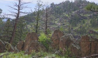 Old Flowers Rd, Bellvue, CO 80512