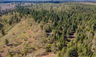350 BREWER Rd, Appleton, WA 98602
