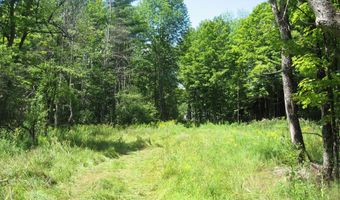 1260 Valentine Pond Rd, Adirondack, NY 12808