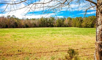 MISTLETOE RD lot 3, Appling, GA 30802