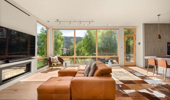 103 Willits Way 201, Basalt, CO 81621
