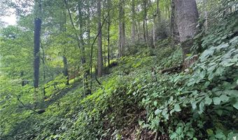 Tbd Clubhouse Drive, Banner Elk, NC 28604