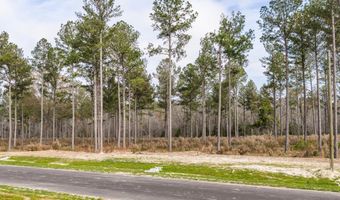 159 Beagle Chase Dr, Appling, GA 30802