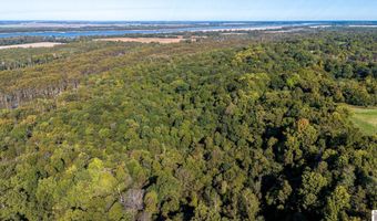 County Road 1320 lot Between County Roads 1324, Bardwell, KY 42023