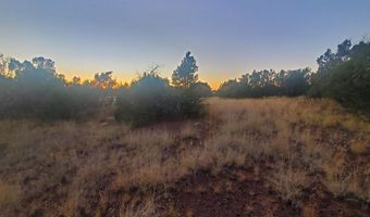 1 COUNTY ROAD N8155, Concho, AZ 85924