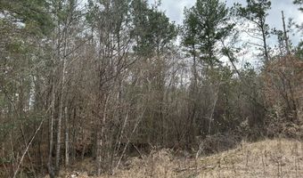 St. Johns Road, Braxton, MS 39044