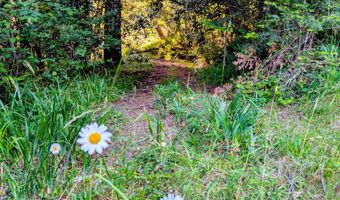 23506 CARPENTERVILLE Rd, Brookings, OR 97415