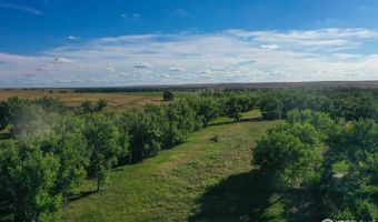 0 County Road 170, Agate, CO 80101