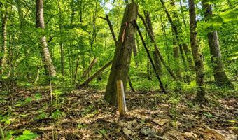 58 Acres Naples Ln, Arab, AL 35016