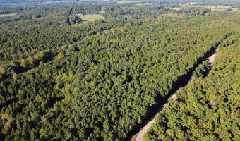 51 Shelton Rd, Bee Branch, AR 72013