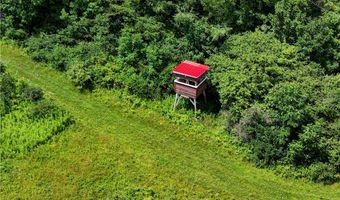 9085 Old State Rd, Angelica, NY 14709