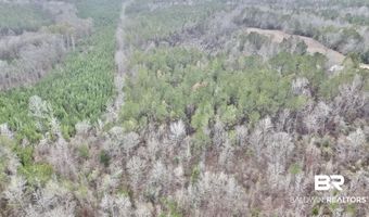 21000 Block Highway 21, Beatrice, AL 36425