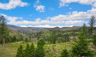 244 Blue Grouse Ln, Bellvue, CO 80512