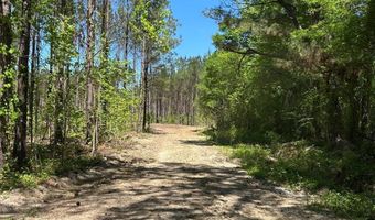 000 Bounty Acres Rd W, Bennettsville, SC 29512