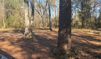 3772 County Road 11, Ariton, AL 36311
