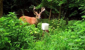 767 County Road 500, Ashland, OH 44805