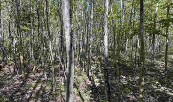 Gratiot River Road lot A, Allouez, MI 49805