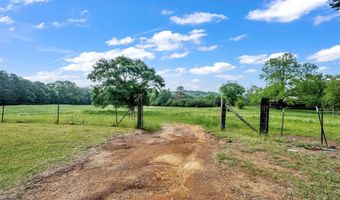 6245 THOMPSON Rd, Altoona, AL 35952