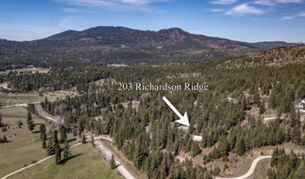 203 Richardsons Ridge Rd, Careywood, ID 83809